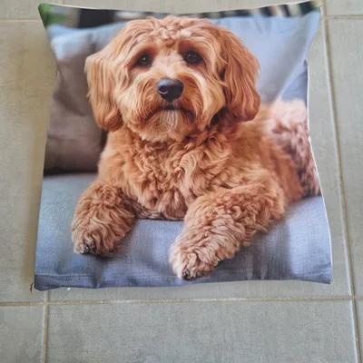 Magnifique housse de coussin 45x45cm 